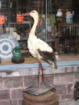 chaise_cigogne_casier_012.jpg