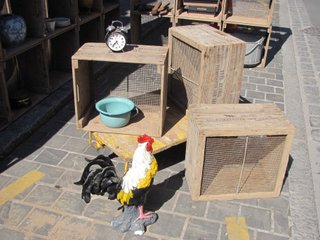 caisses bois grillagées vintage 004_1.jpg