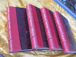l__illustation_20x29_4V_004.jpg